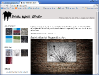 BrickWallStudio